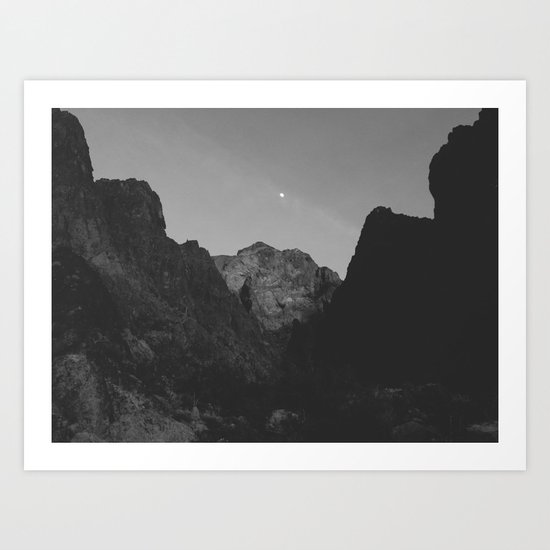 Palm Canyon Art Print