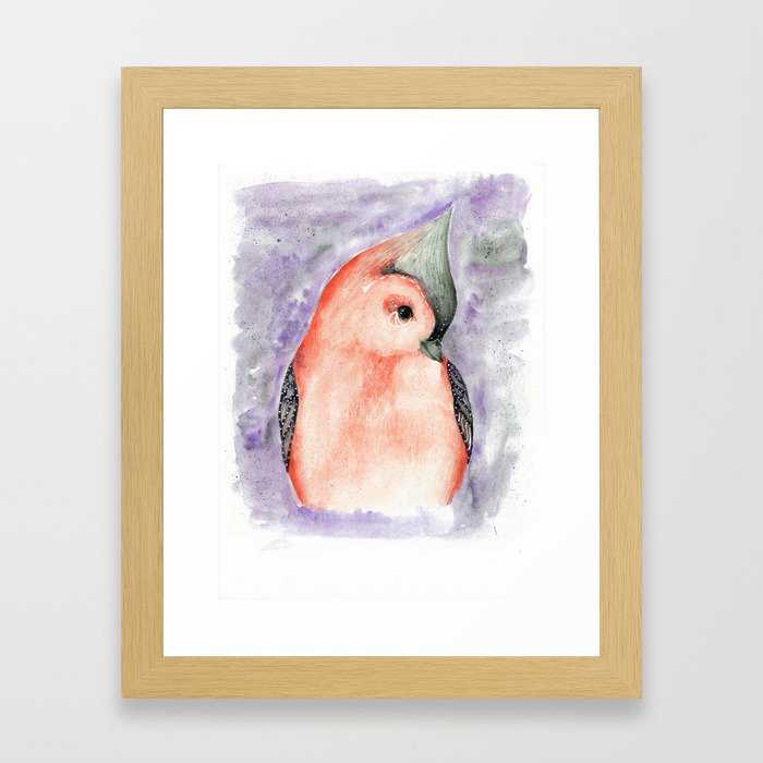 Bird Framed Art Print