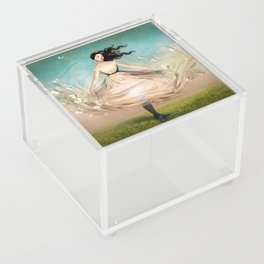 Butterfly Dress Acrylic Box