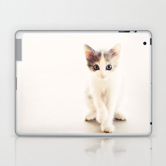 White and Grey Kitten Laptop & iPad Skin