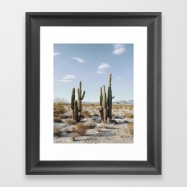 Groups of Saguaros - iPhone Print Framed Art Print