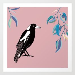 Australian Magpie on Pink Art Print
