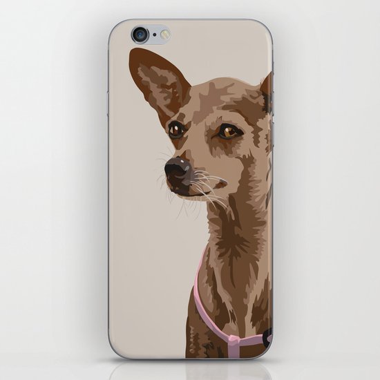 Macy the Chihuahua Dog iPhone & iPod Skin