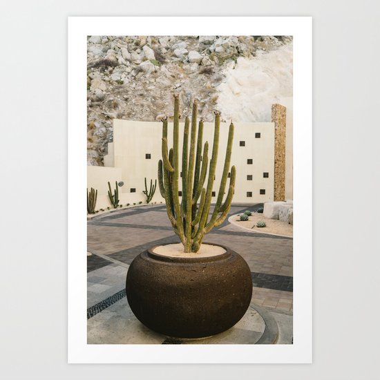 Cabo Cactus VIII Art Print