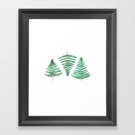 Fiordland Forest Ferns Framed Art Print