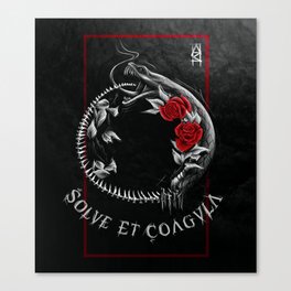 SolveEtCoagula Canvas Print