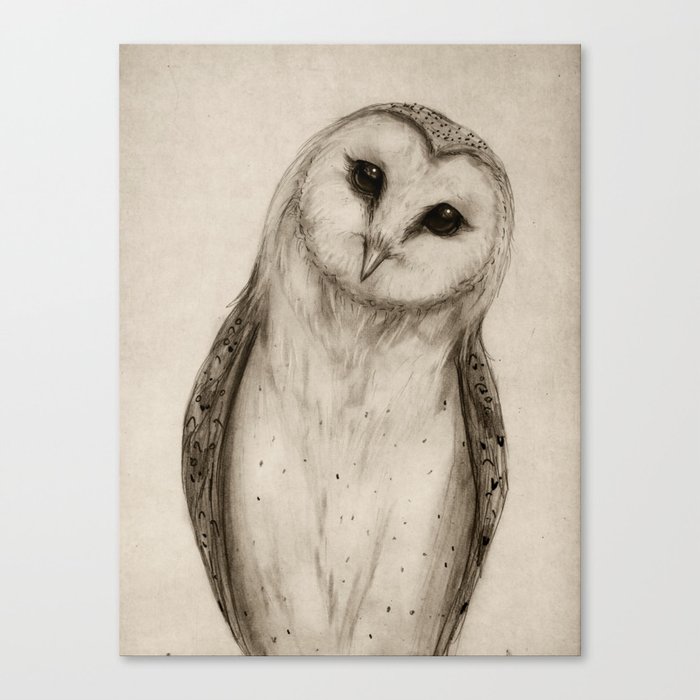 Barn Owl Sketch Canvas Print