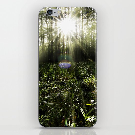 Sunrays iPhone & iPod Skin