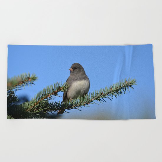 Backyard Beauty Beach Towel