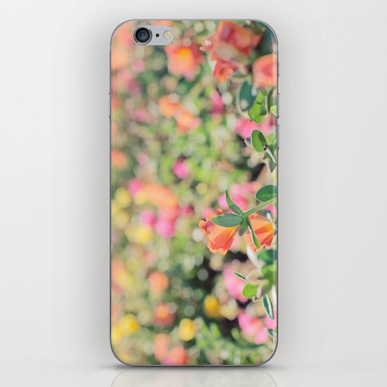 Bokeh iPhone & iPod Skin