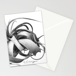Tillandsia Xerographica Stationery Cards