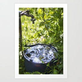 Bucket with water in the garden  Art Print