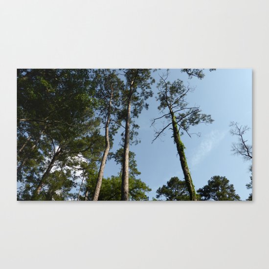 Skyward Bound Canvas Print