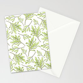 Tea tree leaves seamless pattern. Hand drawn vintage illustration of Melaleuca. Green medicinal plant isolated on white background.  Stationery Card