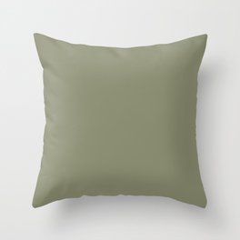 Plain Sage Green to Coordinate with Simply Design Color Palette Throw Pillow