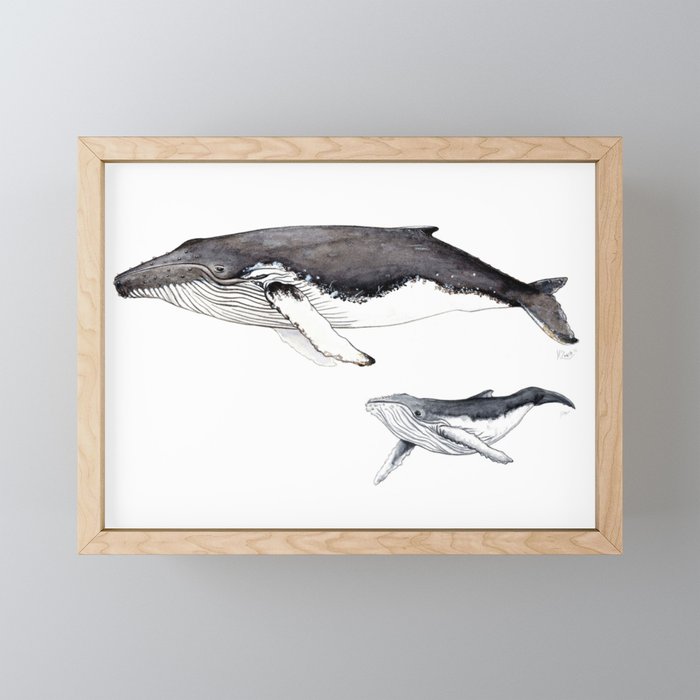 North Atlantic Humpback whale with calf Framed Mini Art Print