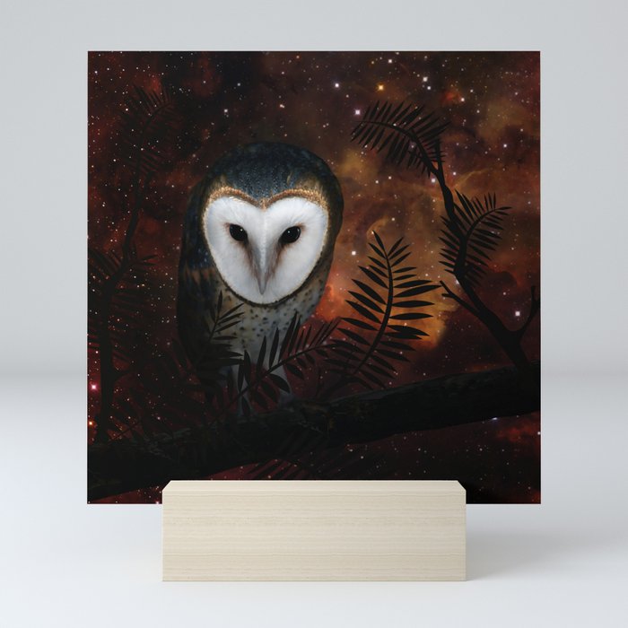Barn owl at night Mini Art Print