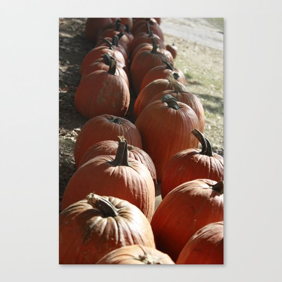 Pumpkins Canvas Print
