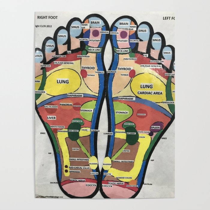 Reflexology of the Feet Poster
