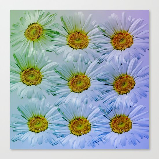 Painterly Daisies Canvas Print