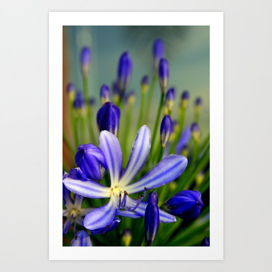 Blue Art Print