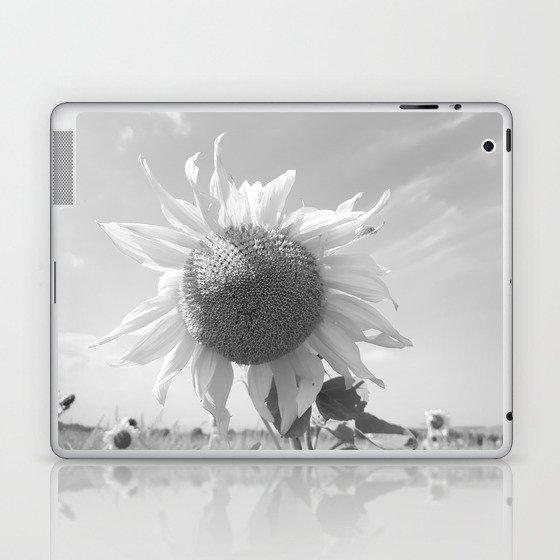 Monochromatic summer sunflower in the field Laptop & iPad Skin