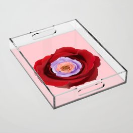 Multicolored Roses  Acrylic Tray