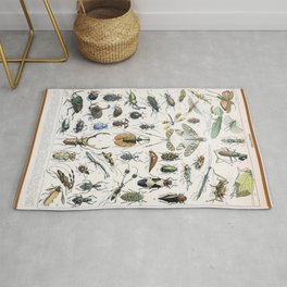 Insects by Adolphe Millot Area & Throw Rug