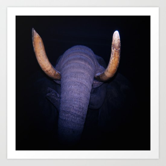 Elephant in the Dark Art Print