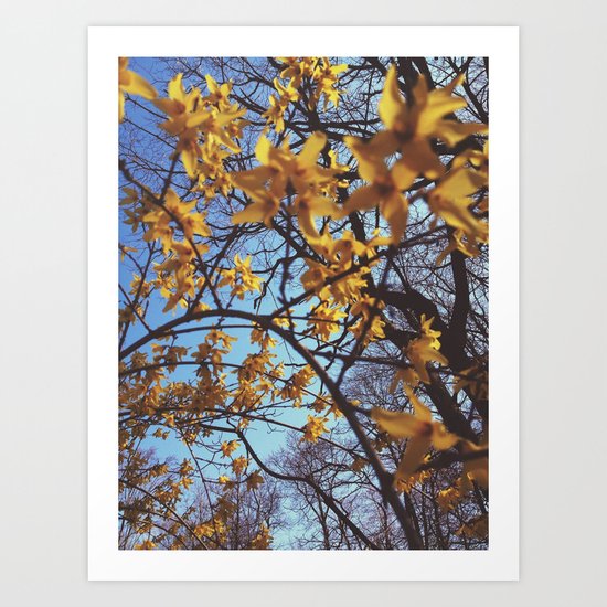 Spring Awakening II Art Print