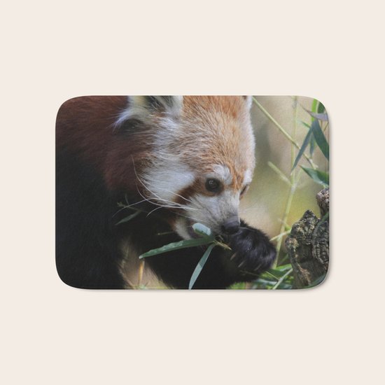 Red_Panda_2015_0308 Bath Mat