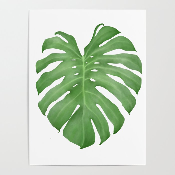 Tropical Leaf Poster