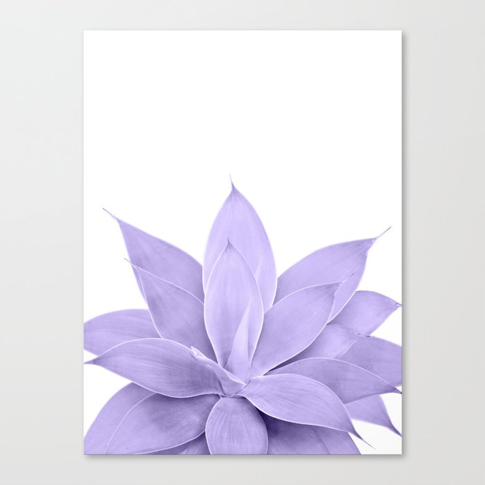 Ultra Violet Agave on White #1 #tropical #decor #art #society6 Canvas Print