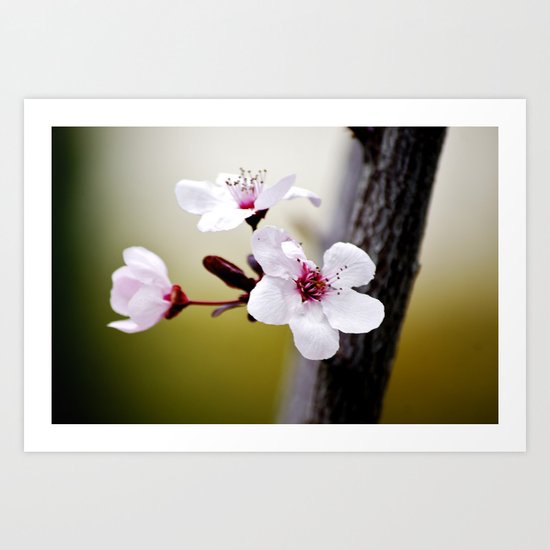 Signs of Spring 3 Art Print
