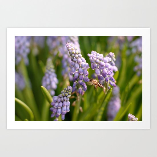 late spring Art Print