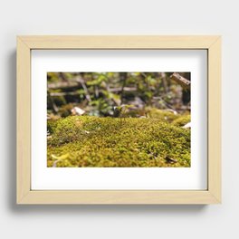 just a hint of growth Recessed Framed Print