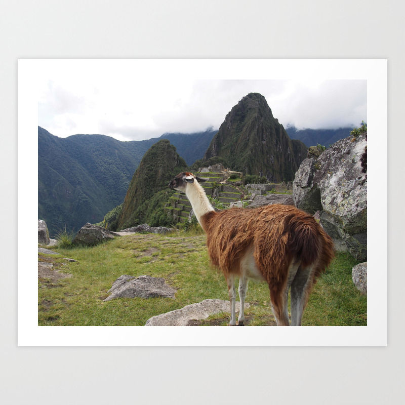 Llama Standing Front Ancient Inca Town Art Print by Zon Art | Society6