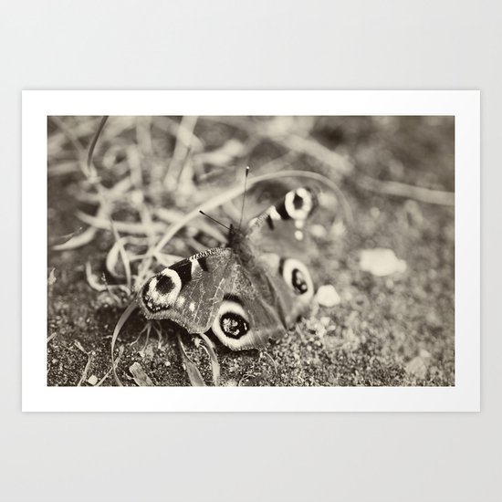 Butterfly Art Print