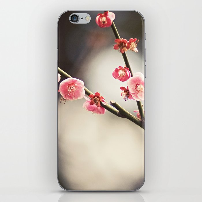 Blossoms iPhone Skin