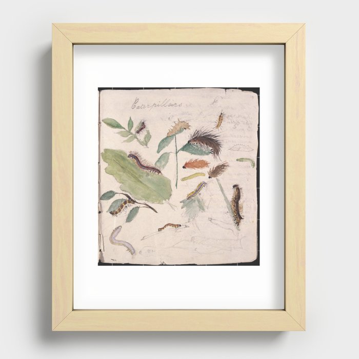 Leaves and caterpillars by Beatrix Potter Recessed Framed Print