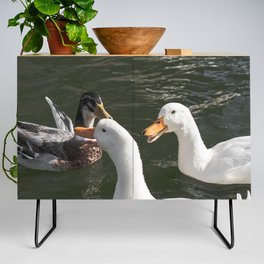 Ducks at the dock Credenza