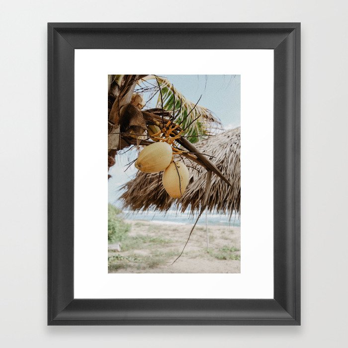Coconut Palm Love Framed Art Print