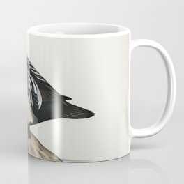 Eniconetta stelleri  illustrated by the von Wright brothers Coffee Mug