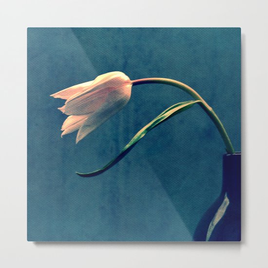 midnight Metal Print