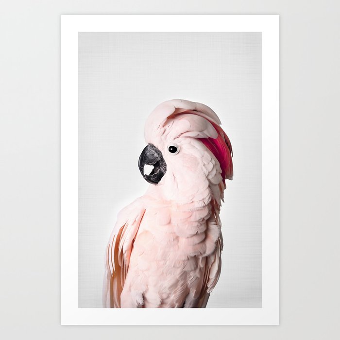 Pink Cockatoo Kunstdrucke