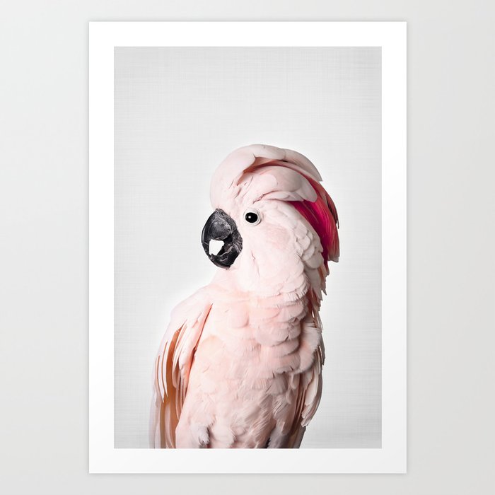 Pink Cockatoo Kunstdrucke Pink Cockatoo Kunstdrucke