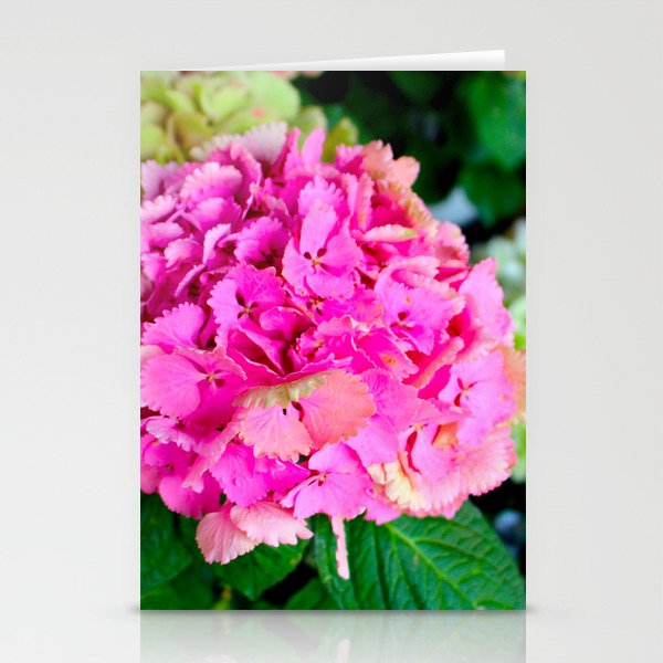 Pink hydrangea Stationery Cards