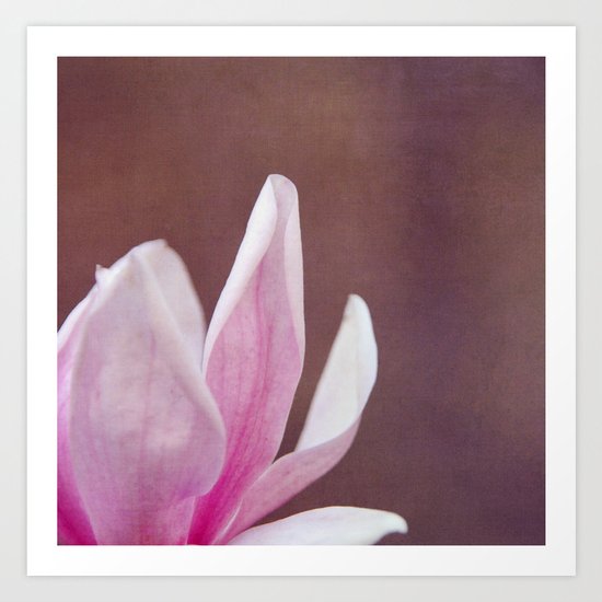 May II Art Print