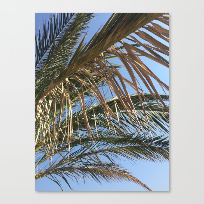Palm Tree - Summer Holiday Photography Nature Sky Beach Canvas Print