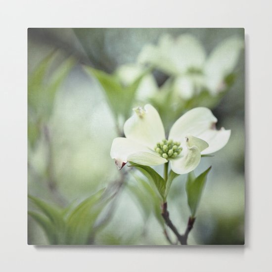 on display Metal Print